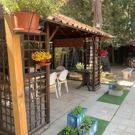 Lujosa Con Piscina Privada 9x5 Βαγιαδολίδ