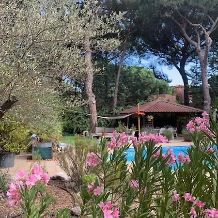 Lujosa Con Piscina Privada 9x5 Villa Valladolid